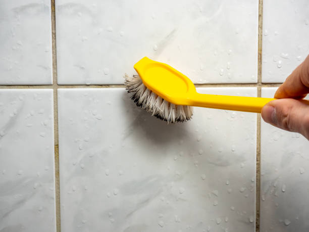  Marion, WI Mold Removal Pros
