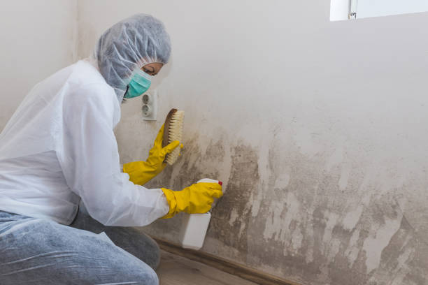 Best Mold Testing  in Marion, WI