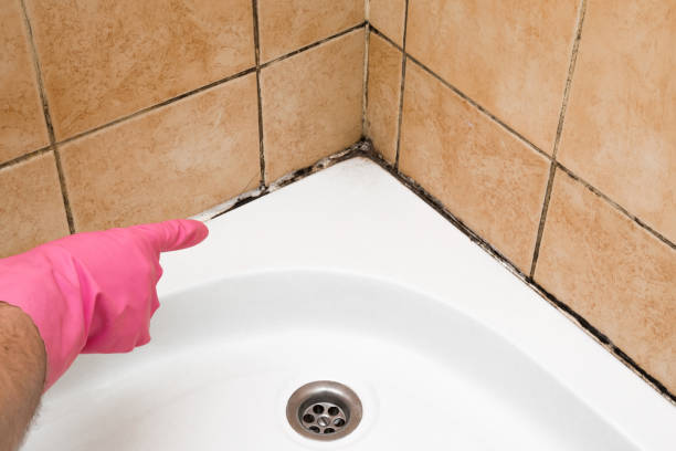 Best Mold Cleaning Services  in Marion, WI